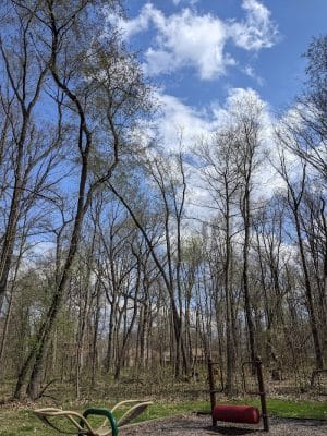 Luhr County Park