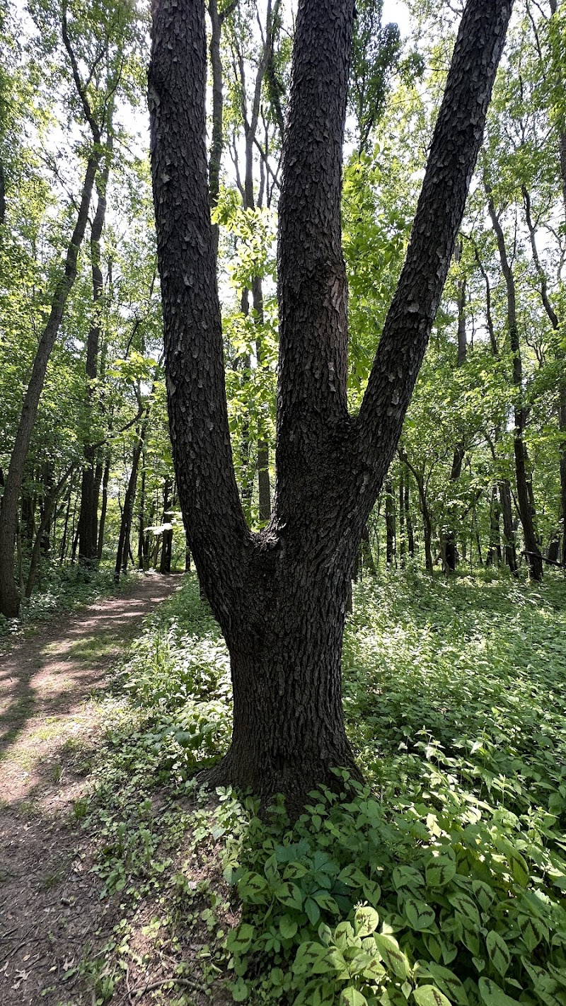 Luhr County Park - La Porte, IN