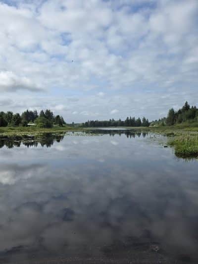 Chehalis - Western Trail Trailhead - Roxanna Loop - Lacey, WA
