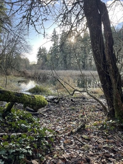Lake Lois Trailhead - Lacey, WA