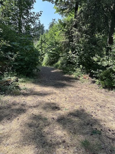 Lake Lois Trailhead - Lacey, WA