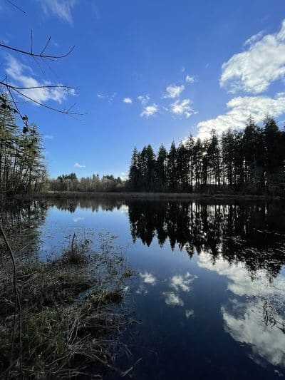 Lake Lois Trailhead - Lacey, WA