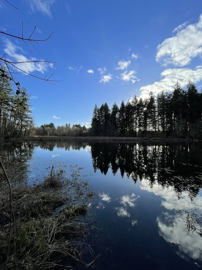 Lake Lois Trailhead - Lacey, WA