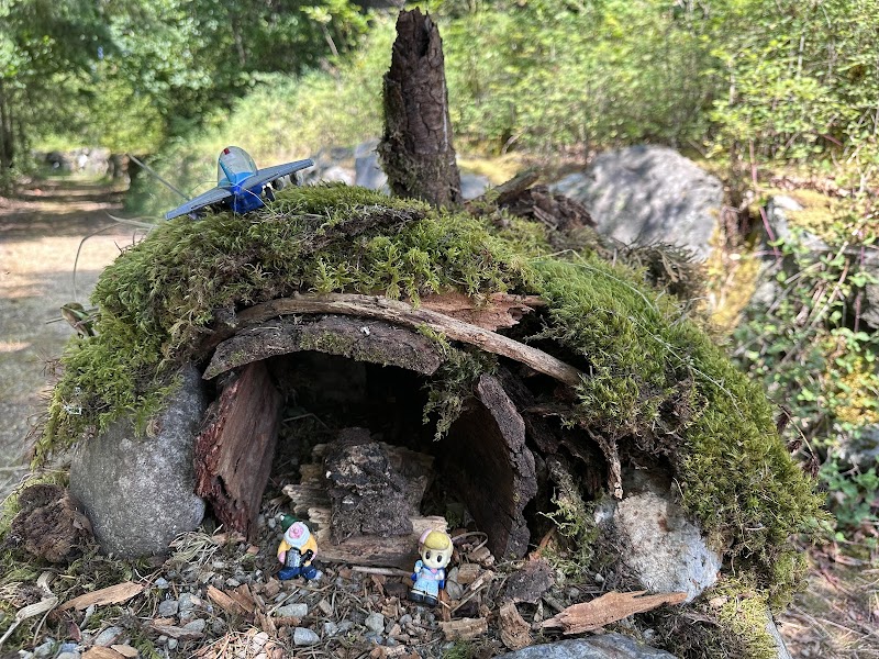 Lake Lois Trailhead - Lacey, WA