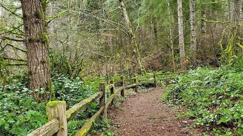 Mullen Road Habitat Reserve - Lacey, WA