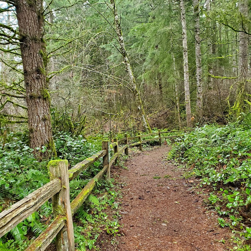 Mullen Road Habitat Reserve - Lacey, WA