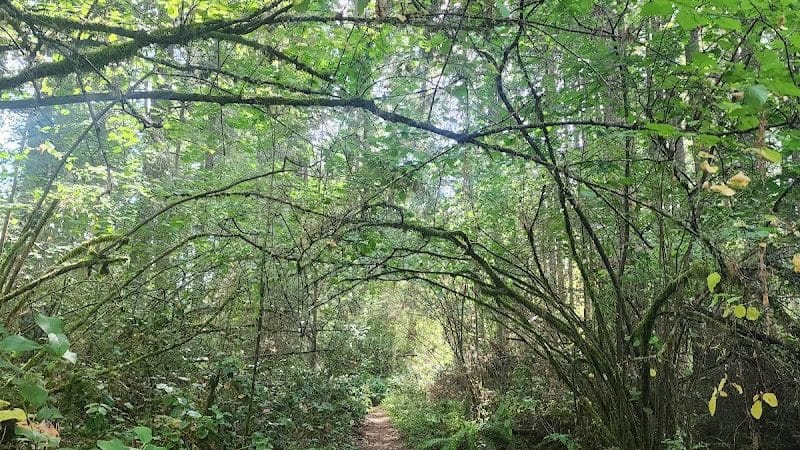 Mullen Road Habitat Reserve - Lacey, WA