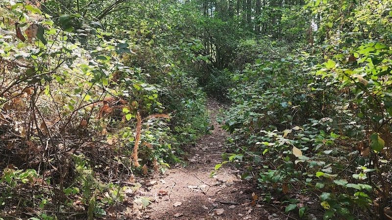 Mullen Road Habitat Reserve - Lacey, WA