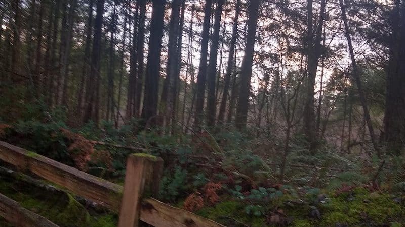 Mullen Road Habitat Reserve - Lacey, WA