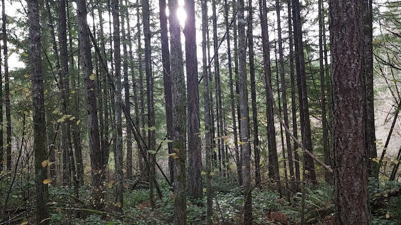 Mullen Road Habitat Reserve - Lacey, WA