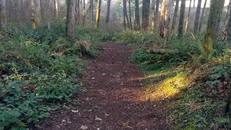 Mullen Road Habitat Reserve - Lacey, WA