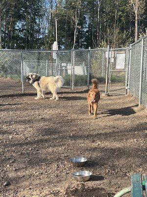 Lezama Family Happy Tails Dog Park