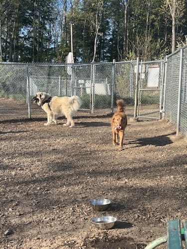 Lezama Family Happy Tails Dog Park