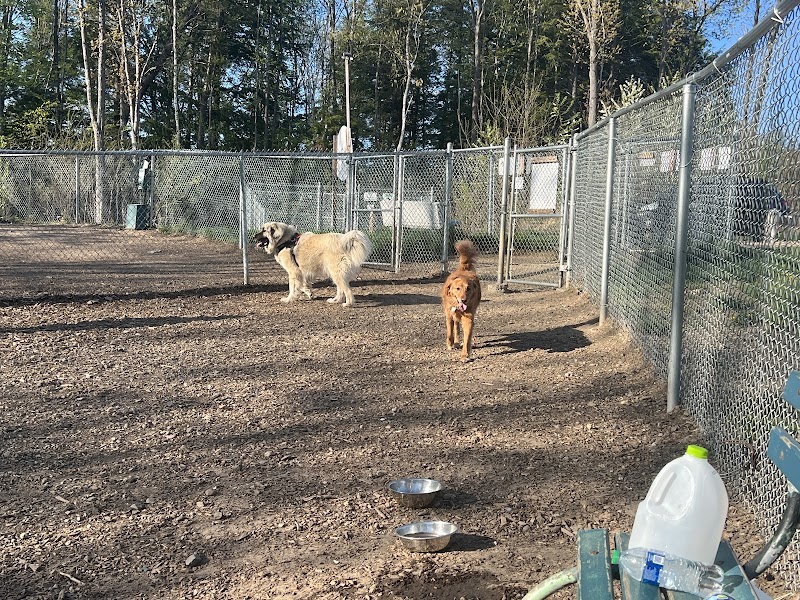Lezama Family Happy Tails Dog Park - Laconia, NH