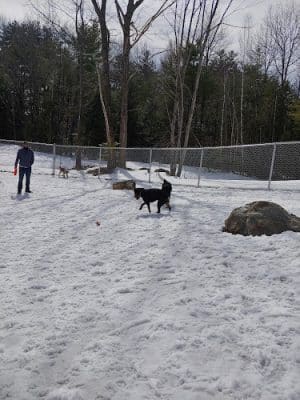 Lezama Family Happy Tails Dog Park