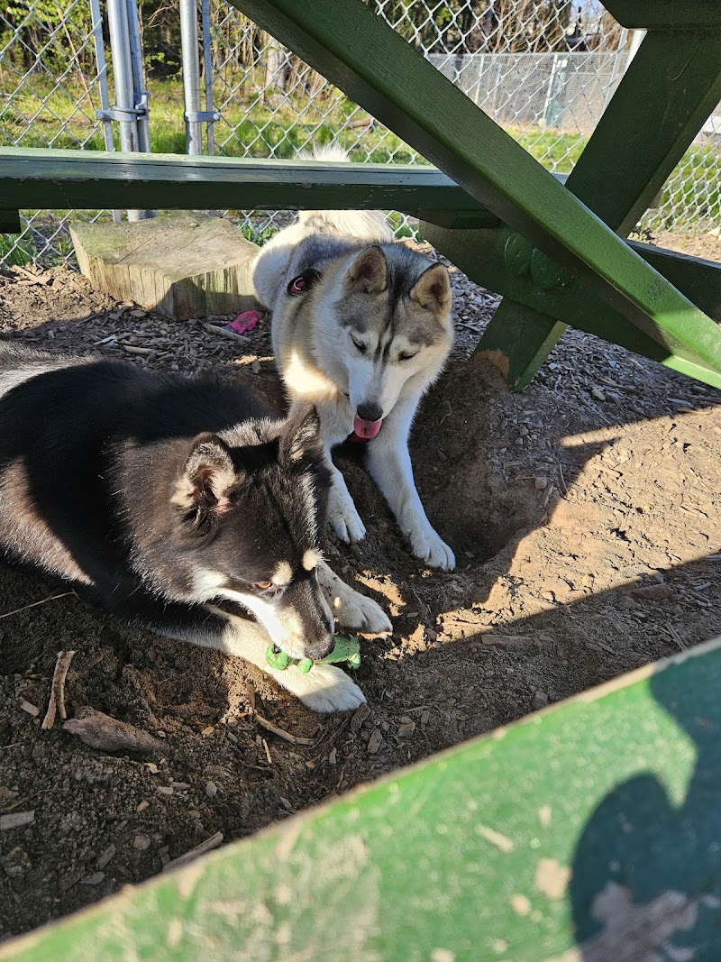 Lezama Family Happy Tails Dog Park - Laconia, NH