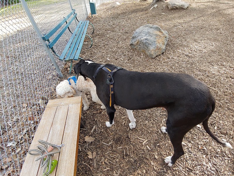 Lezama Family Happy Tails Dog Park - Laconia, NH