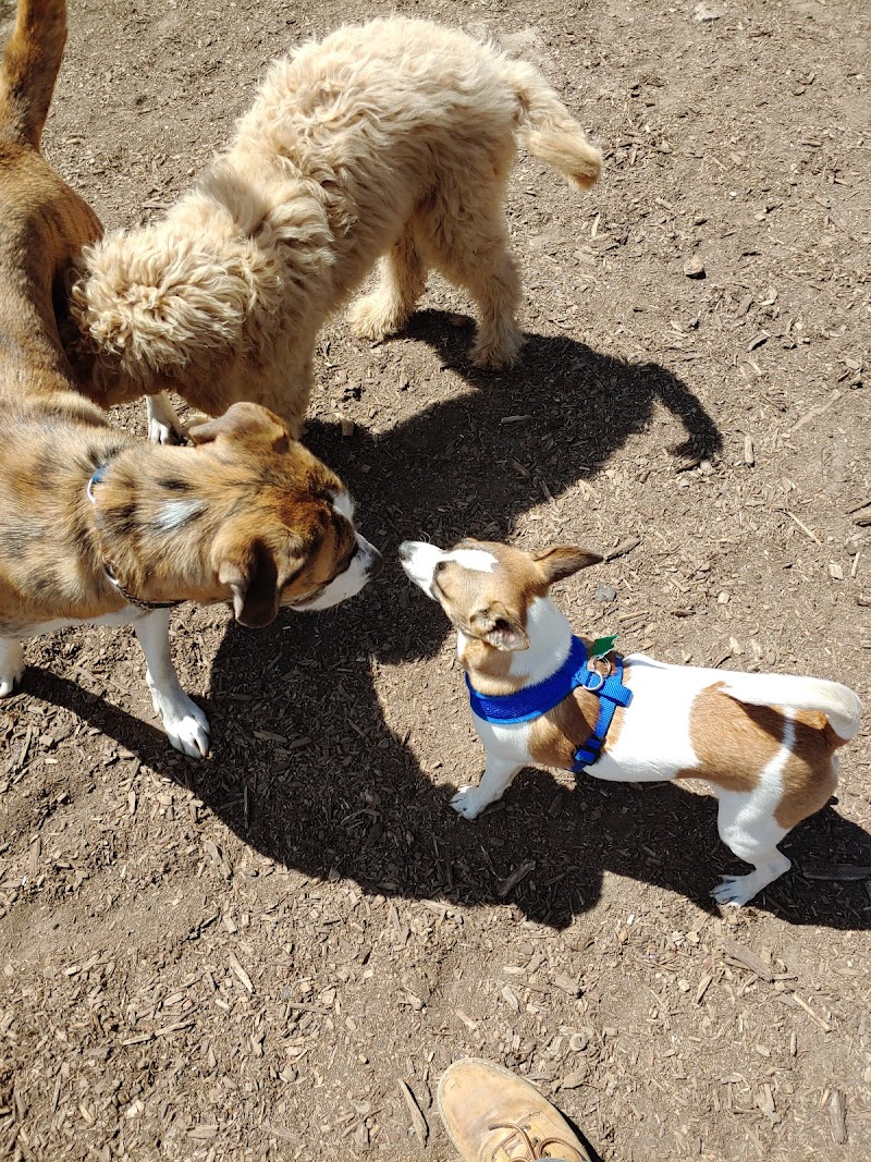 Lezama Family Happy Tails Dog Park - Laconia, NH
