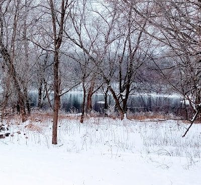 Ladysmith Leash-Free Dog Park - Ladysmith, WI