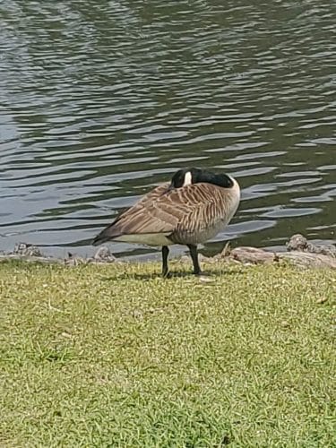 Lake City Community Park