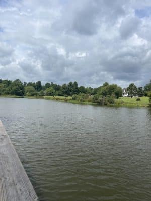 Lake City Park