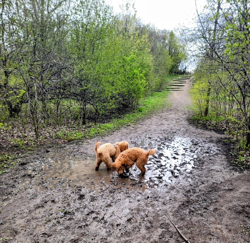 Prairie Wolf Off-Leash Dog Area - Lake Forest, IL