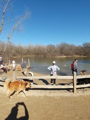 Prairie Wolf Off-Leash Dog Area