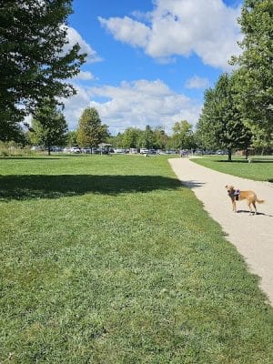 Prairie Wolf Off-Leash Dog Area