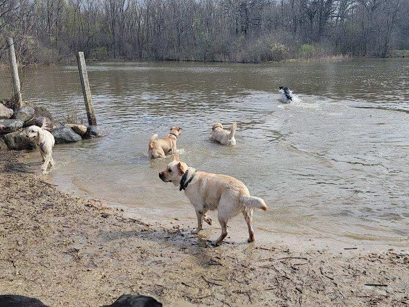 Prairie Wolf Off-Leash Dog Area - Lake Forest, IL