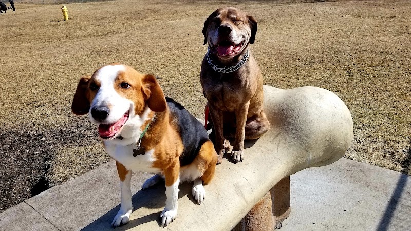 White River Dog Park - Lake Geneva, WI