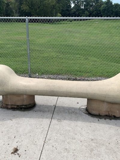 White River Dog Park - Lake Geneva, WI