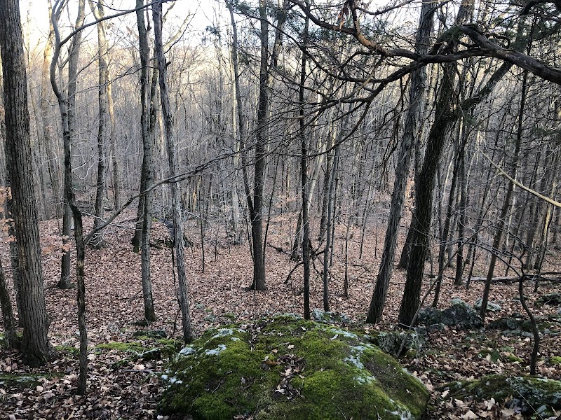 Minisink County Park - Lake Hopatcong, NJ