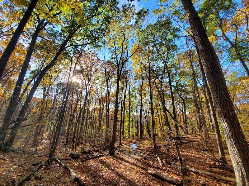 Rockaway River State Wildlife Management Area - Lake Hopatcong, NJ