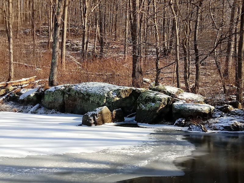 Rockaway River State Wildlife Management Area - Lake Hopatcong, NJ