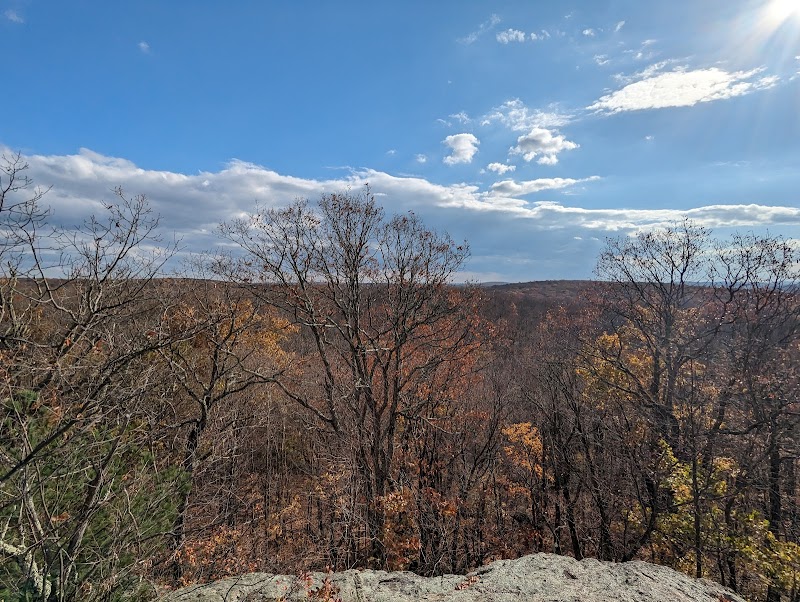 Rockaway River State Wildlife Management Area - Lake Hopatcong, NJ