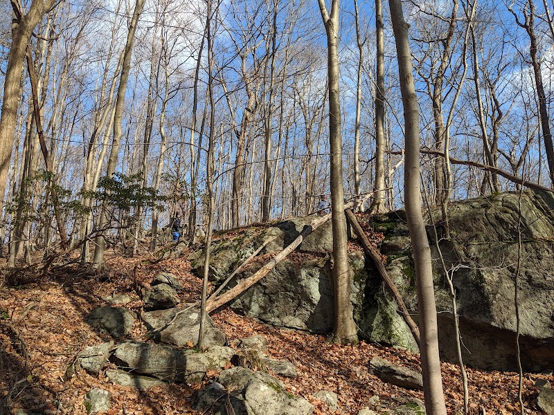 Rockaway River State Wildlife Management Area - Lake Hopatcong, NJ