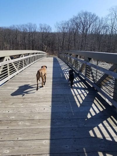 Rockaway River State Wildlife Management Area - Lake Hopatcong, NJ