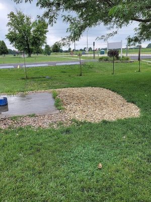 Bark Park