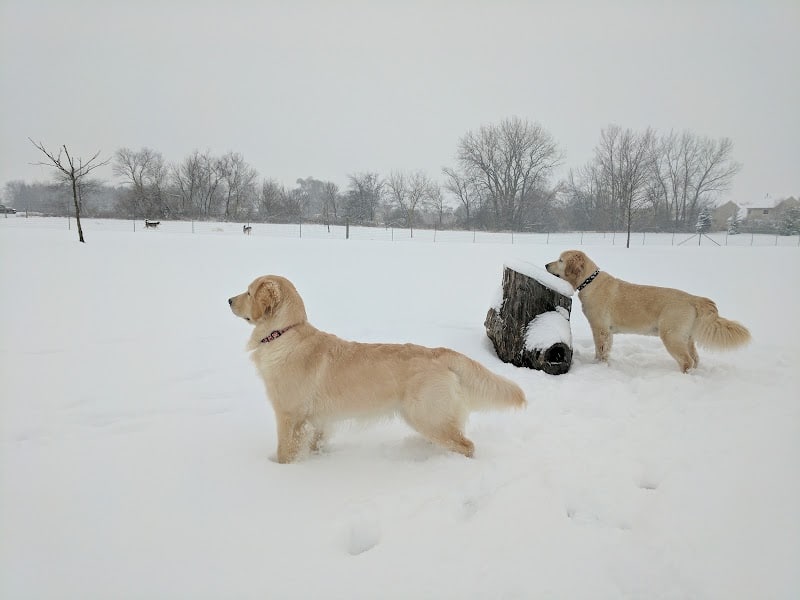 Bark Park - Lake in the Hills, IL
