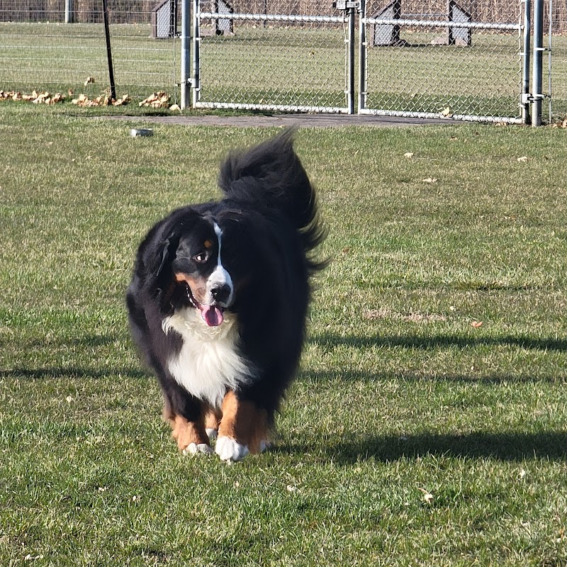 Bark Park - Lake in the Hills, IL