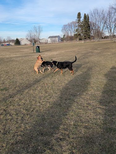 Bark Park