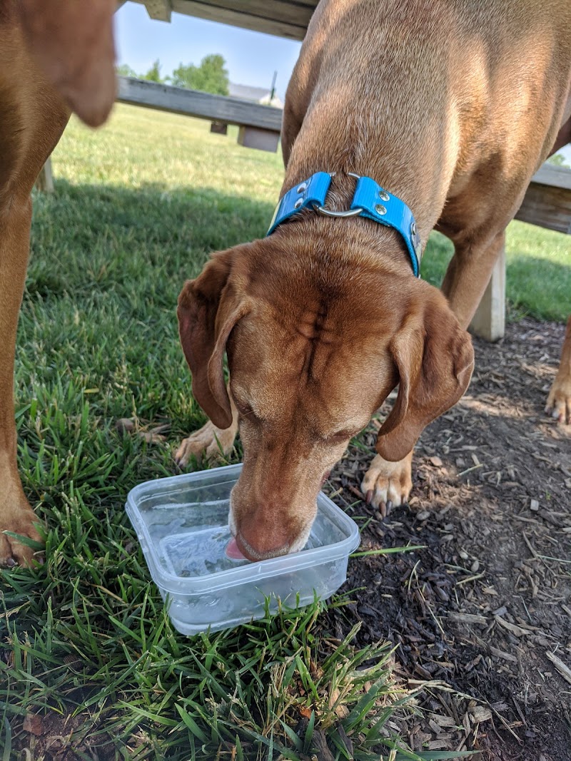Bark Park - Lake in the Hills, IL