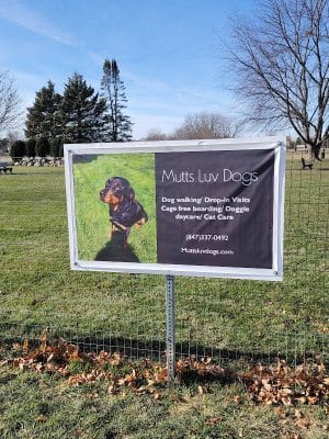 Bark Park