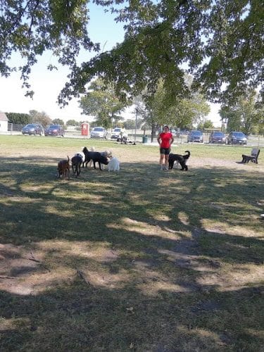 Bark Park