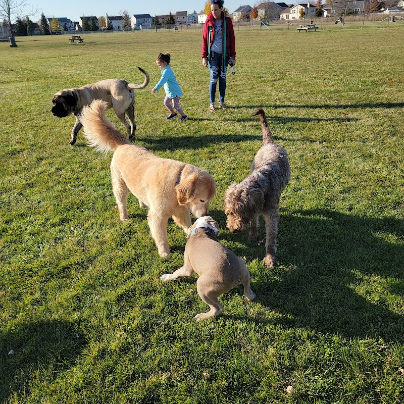 Bark Park - Lake in the Hills, IL