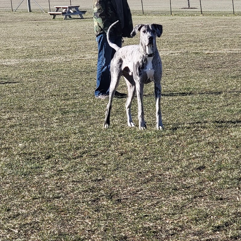 Bark Park - Lake in the Hills, IL