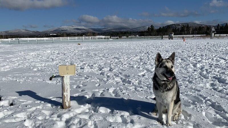 Off Leash Dog Area - Lake Placid, NY
