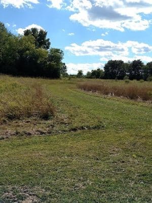 Duck Farm Off-Leash Dog Area