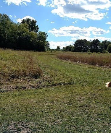 Duck Farm Off-Leash Dog Area - Lake Villa, IL