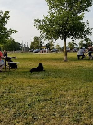 Duck Farm Off-Leash Dog Area